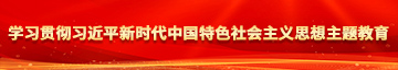 啊操我日我干死我视频学习贯彻习近平新时代中国特色社会主义思想主题教育